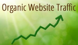 Organic Site Traffic