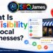 AI visibility for local businesses